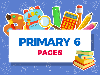 Primary 6 Pages